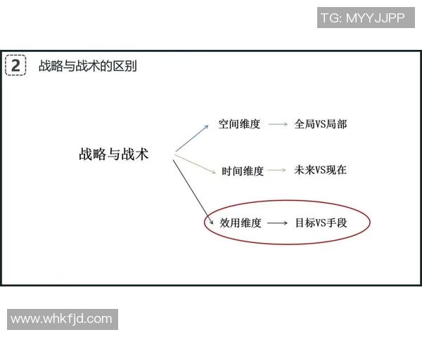 深入分析广州网球队的节奏打法与战术优势探讨
